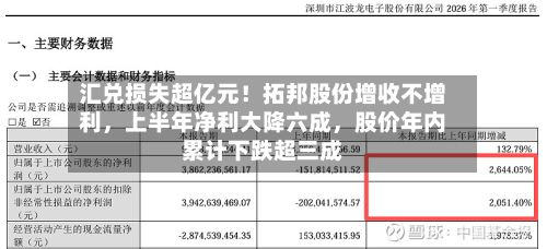 汇兑损失超亿元！拓邦股份增收不增利，上半年净利大降六成，股价年内累计下跌超三成-第2张图片