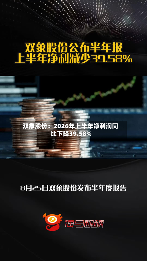 双象股份:2026年上半年净利润同比下降39.58%-第2张图片