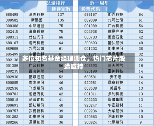 多位知名基金经理调仓，热门芯片股遭减持-第2张图片