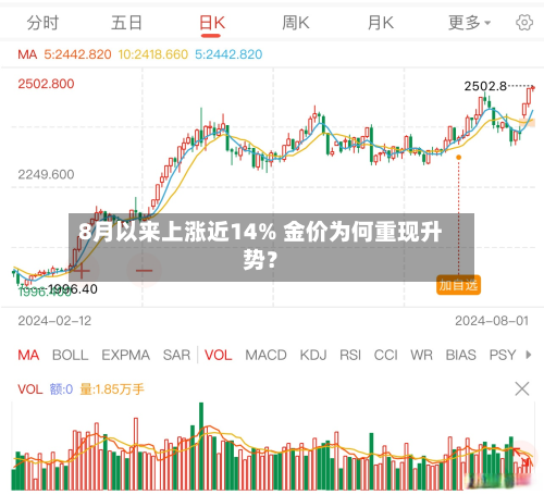 8月以来上涨近14% 金价为何重现升势?-第3张图片