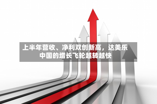 上半年营收、净利双创新高，达美乐中国的增长飞轮越转越快-第3张图片