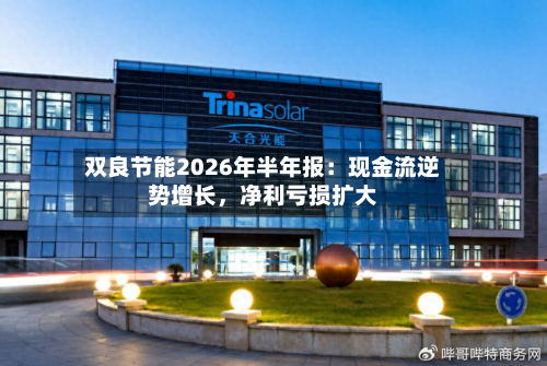 双良节能2026年半年报：现金流逆势增长，净利亏损扩大-第3张图片