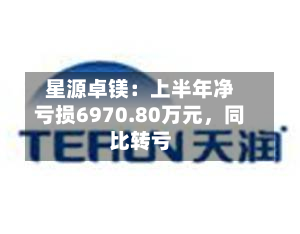 星源卓镁：上半年净亏损6970.80万元，同比转亏-第3张图片