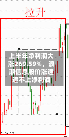 上半年净利润大涨269.59%，浪潮信息股价涨速追不上净利润-第2张图片