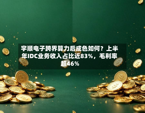 宇顺电子跨界算力后成色如何？上半年IDC业务收入占比近83%	，毛利率超46%-第3张图片