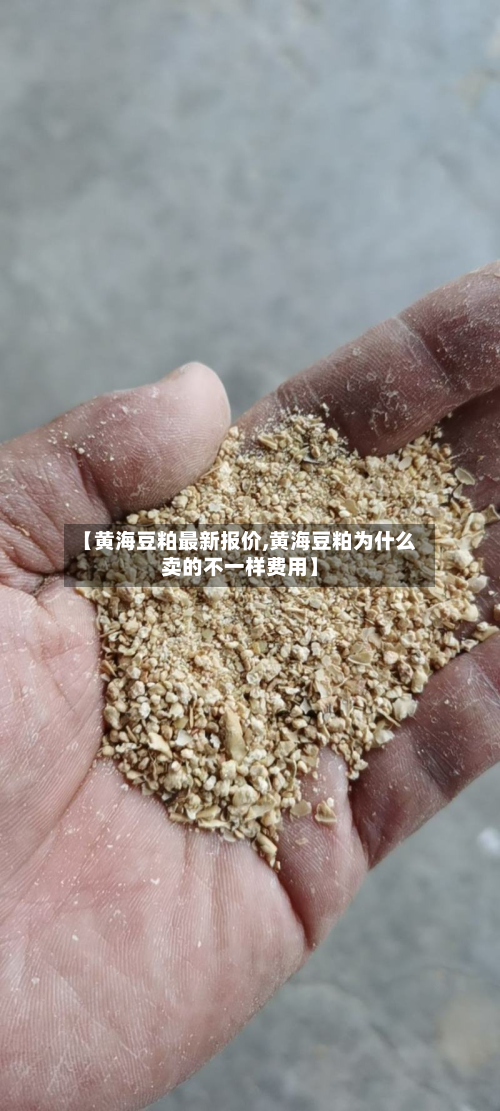 【黄海豆粕最新报价,黄海豆粕为什么卖的不一样费用】
