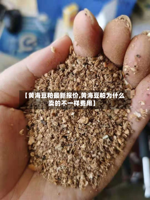 【黄海豆粕最新报价,黄海豆粕为什么卖的不一样费用】-第2张图片