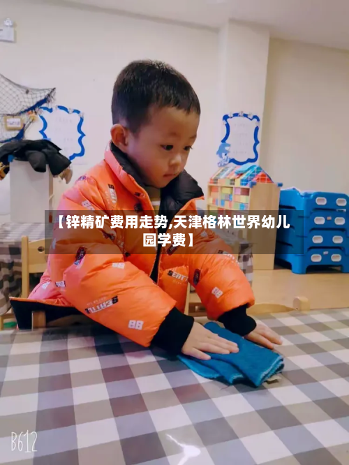 【锌精矿费用走势,天津格林世界幼儿园学费】