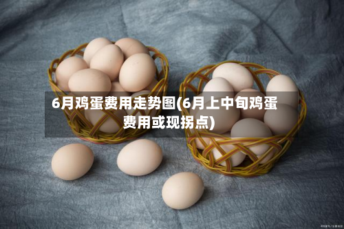 6月鸡蛋费用走势图(6月上中旬鸡蛋费用或现拐点)