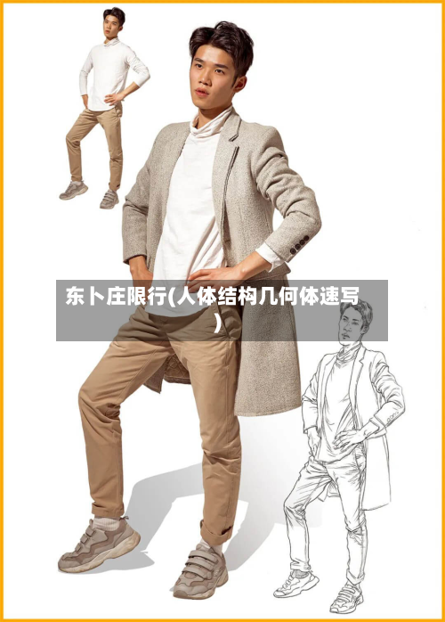 东卜庄限行(人体结构几何体速写)-第2张图片
