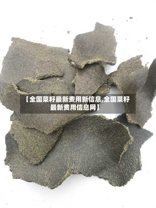 【全国菜籽最新费用新信息,全国菜籽最新费用信息网】