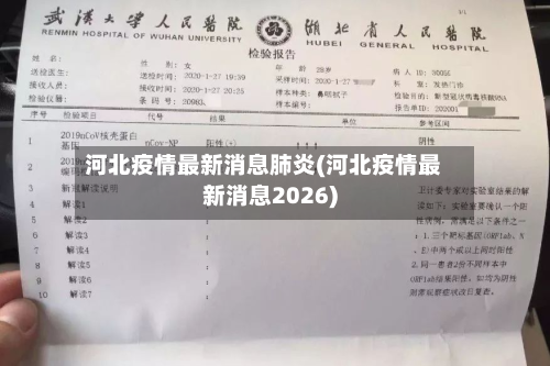 河北疫情最新消息肺炎(河北疫情最新消息2026)-第2张图片