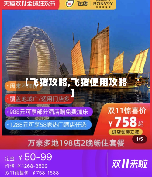 【飞猪攻略,飞猪使用攻略】