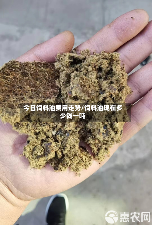 今日饲料油费用走势/饲料油现在多少钱一吨