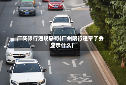 广交限行违规惩罚(广州限行违章了会显示什么)