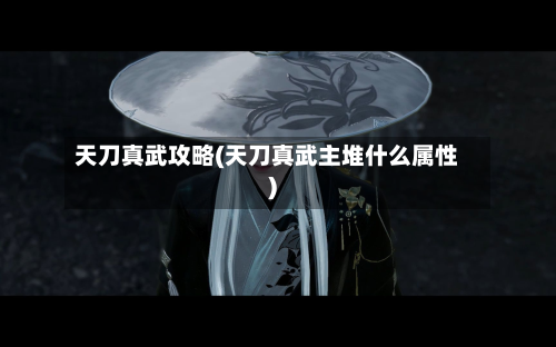 天刀真武攻略(天刀真武主堆什么属性)-第2张图片
