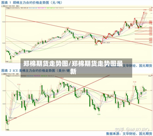 郑棉期货走势图/郑棉期货走势图最新-第3张图片