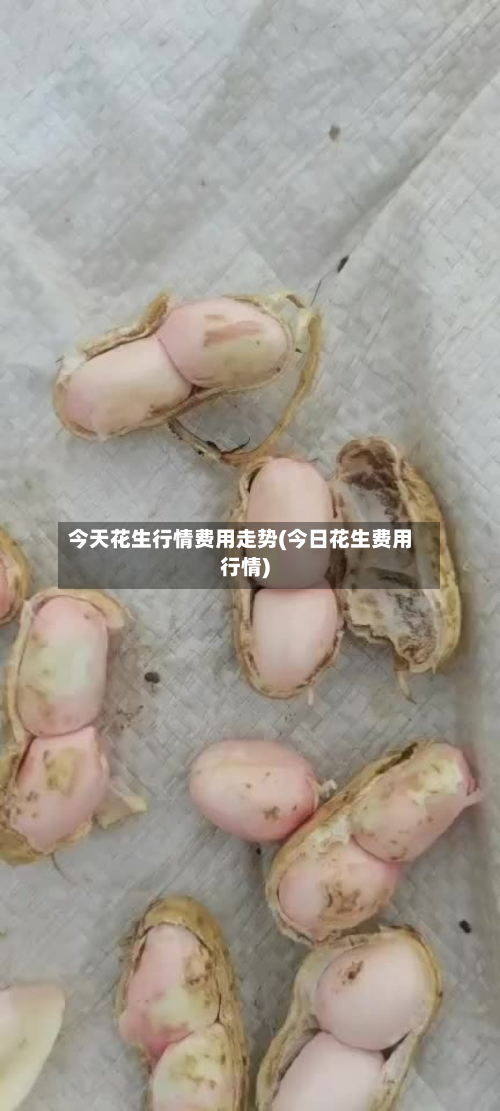 今天花生行情费用走势(今日花生费用行情)-第3张图片