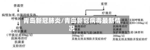 青岛新冠肺炎/青岛新冠病毒最新情况