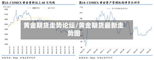 黄金期货走势论坛/黄金期货最新走势图